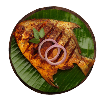 WhatsApp_Image_2023-03-17_at_4.43.27_PM__2_-removebg-preview